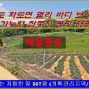 인천광역시 강화군 화도면사무소 이미지