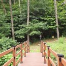 고갯마루식당 | 동서트레일 8구간 예산 충의사-원효암터-남연군묘-내포문화숲길-상가리미륵불-백제의미소길-서산...