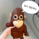 씨유 가야엄광로점 | 가야피티, 개금피티하면 감성피티샵 30대 여성피티추천 내돈내산_어깨통증