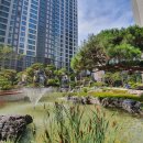 포레스트31 이미지