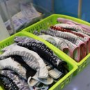 굿샷스크린골프연습장 이미지