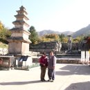 빛마루농장 이미지