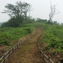 모도민박 이미지