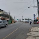 마곡사로(호계초등학교~마곡사) Daum카페
