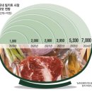 삼성웰스토리프레시지용인공장 | `밀키트` 있으니…집콕 추석에도 삼시세끼 걱정 끝 손질된 식재료로 간편요리…관련 제품 판매 급증...