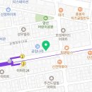 강아지분양 타임도그 애견샵 목동점 이미지