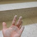 서동요세트장내화장실 | 포천 대진대 영화 촬영장 청소 2000평 세트장 분진 제거, 정성으로 채운 현장 후기!