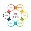 (유)포라이프리서치코리아 - 부산진구 | (유)포라이프리서치코리아