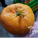 성철 농장 이미지