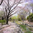 부천중앙공원공영주차장 이미지