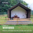 Dog 앤 Story 이미지