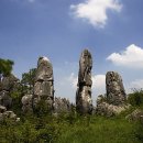 석림3로 이미지