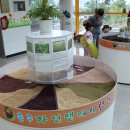 충주자연생태체험관 이미지