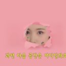 하쿠나마타타 이미지