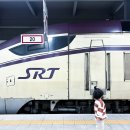 입석1구 | SRT 좌석 추천 입석 예매 KTX 가격비교 수서부산 후기
