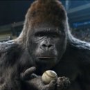 미스터고 이미지