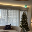 아이멍 | 문정역 피부과 쥬베룩아이 내돈내산 후기 (효과, 비용, 붓기, 멍)