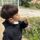 모던빌펜션