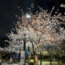 원조뒷고기 이미지