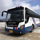 성림고속관광 이미지