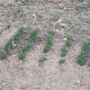 우천농장 이미지