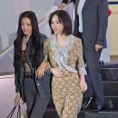 가원 이미지