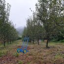 아침농장 이미지