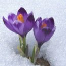 스타칼리휘트니스 이미지