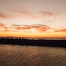 삼양검은모래해변 이미지