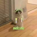 노웨이(NO WAY)