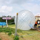 주식회사 제라진투어 | 제주도 갈 곳들 정리