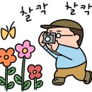 도깨비캠핑장 이미지