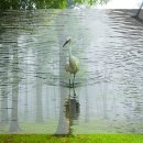 (주)엘루어코리아 | 셀프 홈케어 디바이스 한달 사용 효과 및 후기