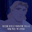 해뜨는 동물병원 이미지