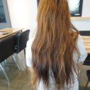 트레보헤어 이미지