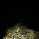 대구 글램핑장 추천🏕️ | 하늘아래 수성 별사랑 캠프
