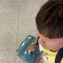 우즈벡 | 우즈벡 사후점검 최종 후기