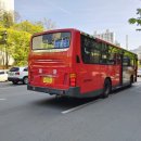 세운버스 이미지