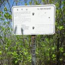 초곡1리 이미지