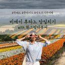 세븐일레븐 인제서화스타점 | [훗카이도가족여행] 비에이 후라노 당일치기, 비에이 맛집, 다이마루 (흰그림자 버스 투어) 후기