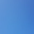 둥이네 농장 이미지