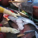 장산시장 이미지