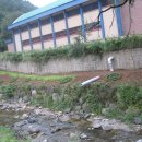 녹전초교 이미지