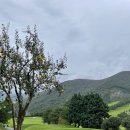 니어컨트리 | 경남 밀양 리더스CC 리더스컨트리클럽 레이크 코스 후기