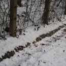 이고이즘 이미지