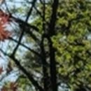 위드치과보철과의원 이미지