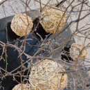 대구가톨릭대학교 디자인대학원 이미지