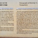 영천 보성리 암각화 | 영천 보성리 암각화