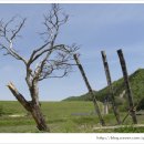 칠갑산 도림온천 이미지