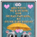 조은하루 - 서구 | 조은하루